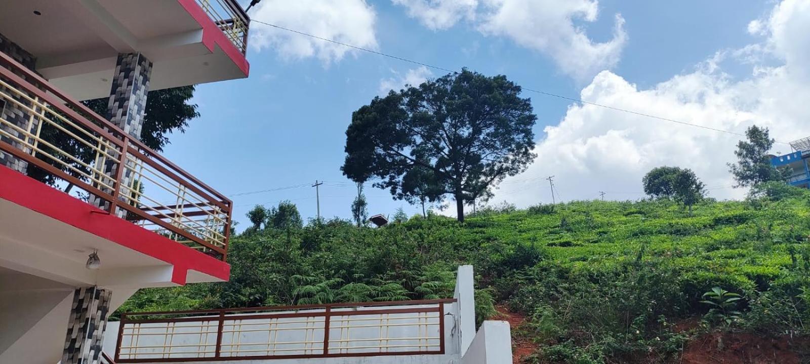Sandy 4 Bhk Homestay - Only Adults Allowed Ooty Luaran gambar